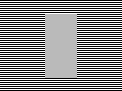 patch